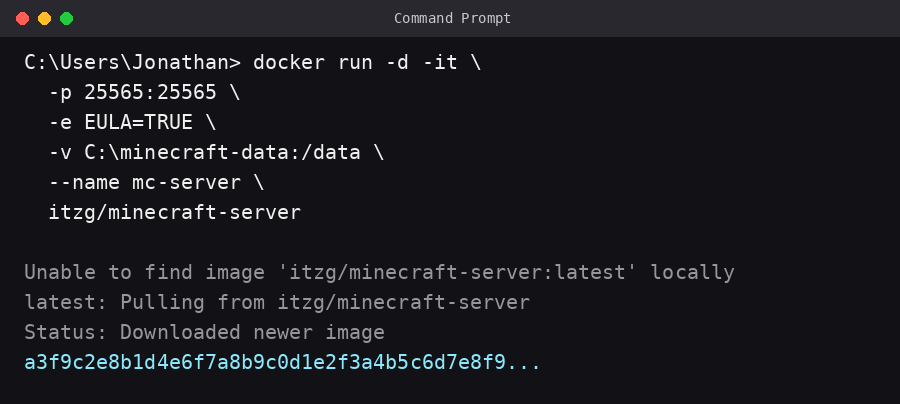 Example docker run command starting a Minecraft server container