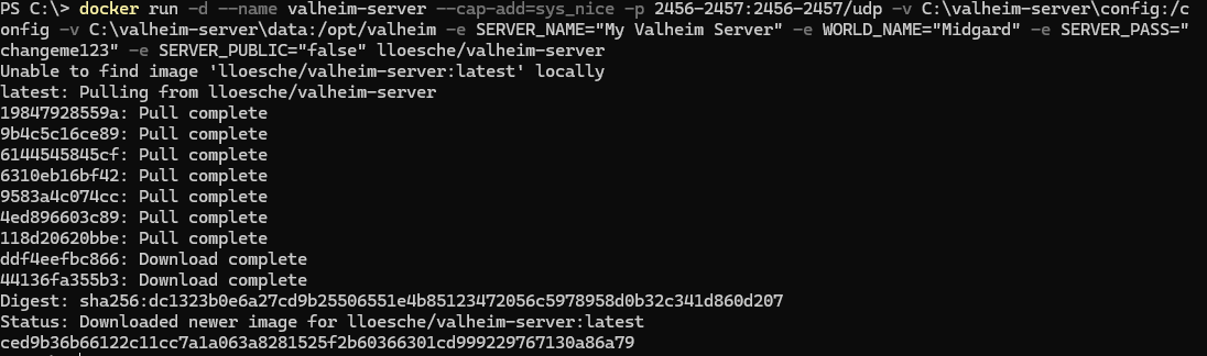 Docker pulling and starting the Valheim server container
