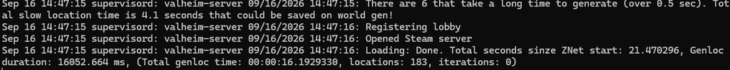 Valheim dedicated server logs showing successful startup